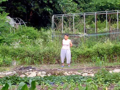 할머니 사진을 가까이 찍지 못했다. 미안해서 일 하다가 몰래 한 장 찍었는데 참 여유롭게 사신다. 손녀도 할머니와 엄마를 닮기를 바란다. 